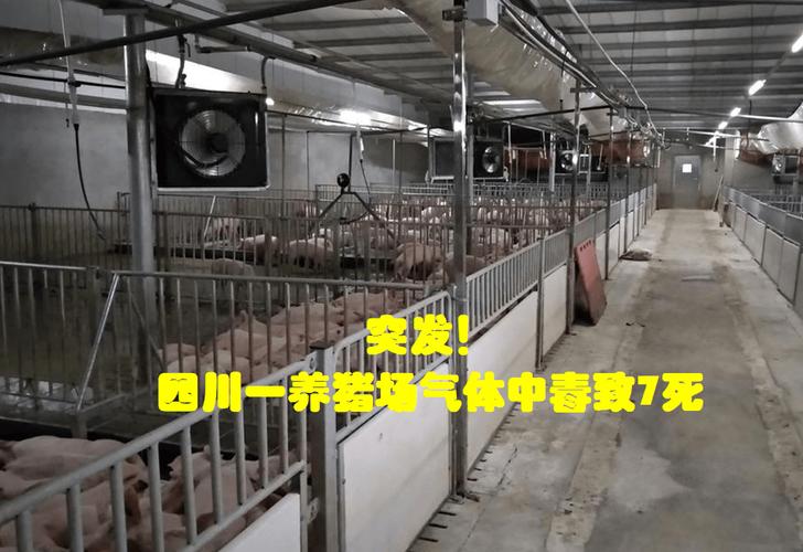 ÑøÖí³¡»¯·à³ØÓж¾ÆøÌå ÑøÖí³¡»¯·à³ØÓж¾ÆøÌå